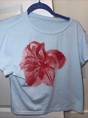 Baby blue flower cropped tee
